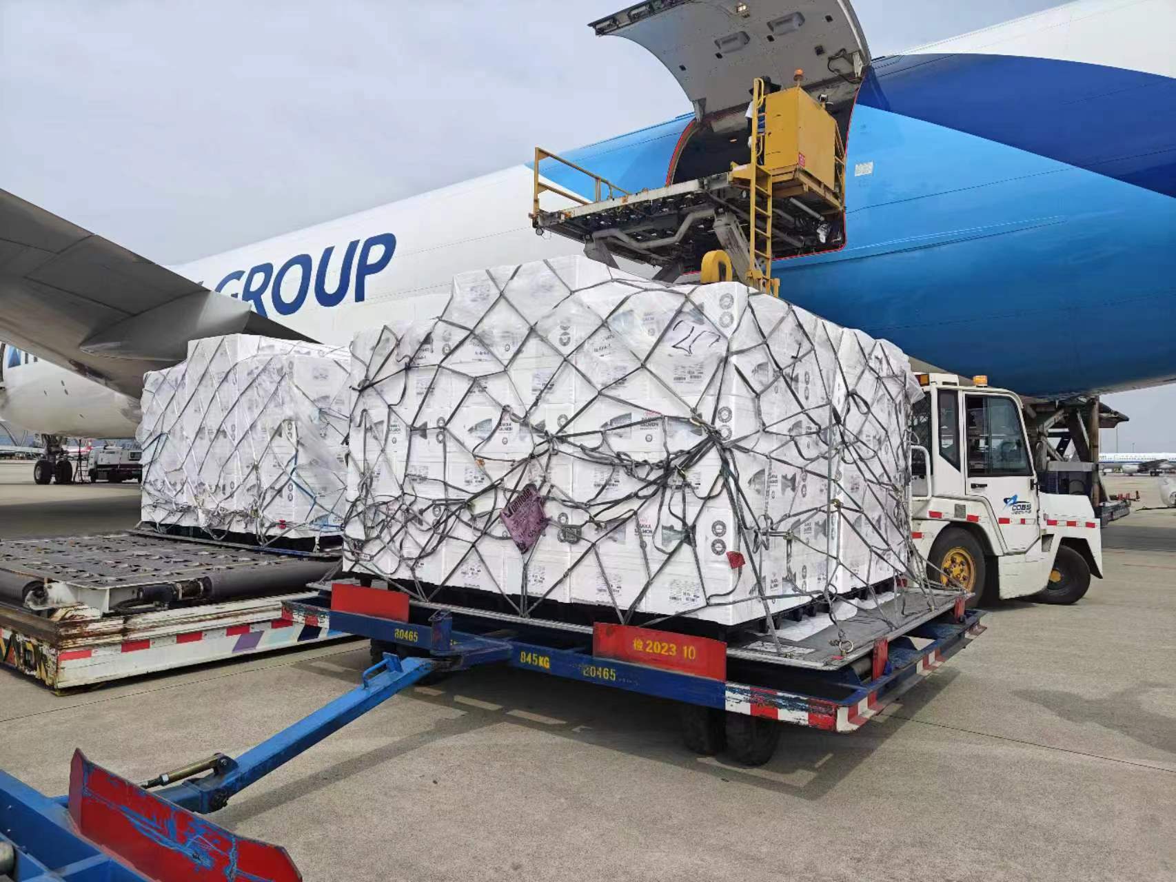 法罗群岛皇冠三文鱼由海川渔业包机首次落地成都