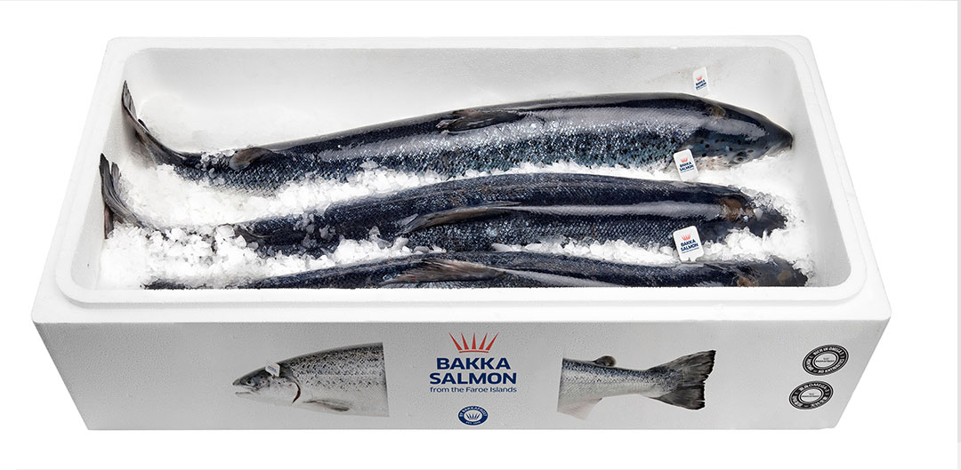 法罗群岛皇冠三文鱼